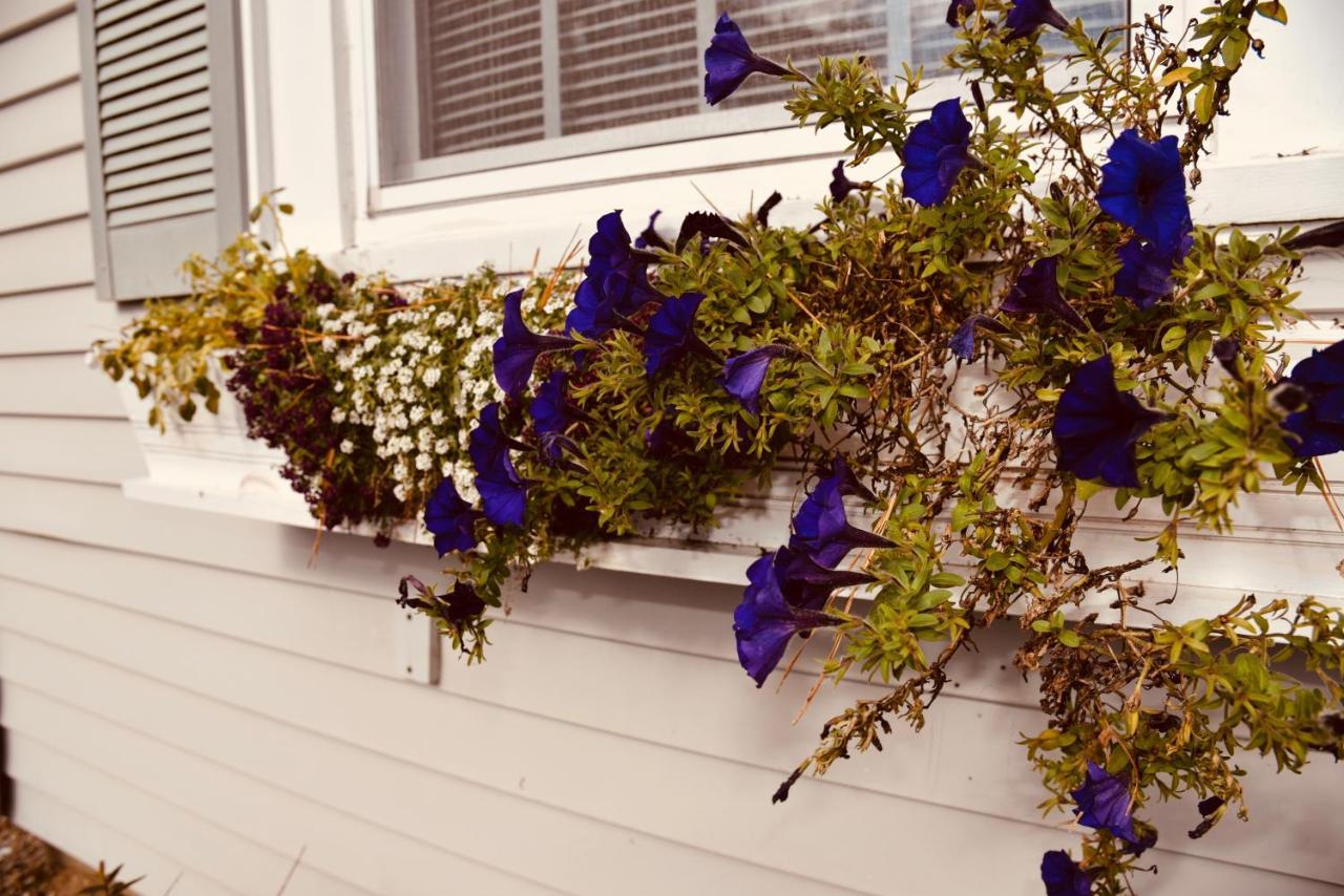 Cape Cod Wishing Well Motel Harwich Port Exterior foto